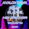Hey Brother (feat. Klax G.) [Radio Mix] - Avalon Dawn lyrics