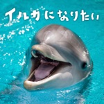 Makiko Hirohashi - Freedom