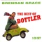 A Visit to the Circus - Brendan Grace lyrics