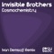 Cosmochemistry (Ivan Demsoff Remix) - Invisible Brothers lyrics