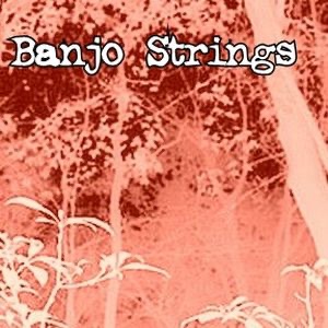 Banjo Strings Virtual Book Tour