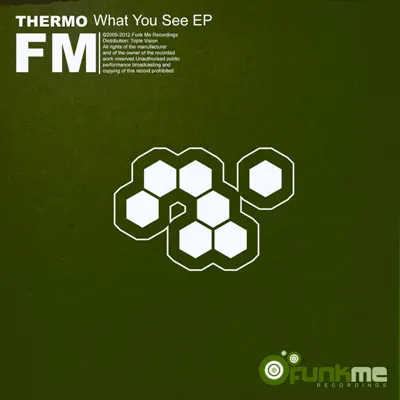 What You See - Single - Thermo