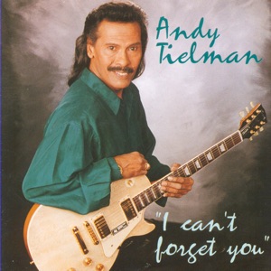 Andy Tielman - If I Only Had Time - 排舞 音樂