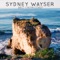 Dirty Work - Sydney Wayser lyrics