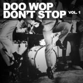 Doo Wop Don't Stop!, Vol. 1 - Verschillende artiesten