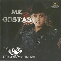 Me Gustas - Diego Espinoza