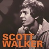 It's Raining Today by Scott Walker iTunes Track 3