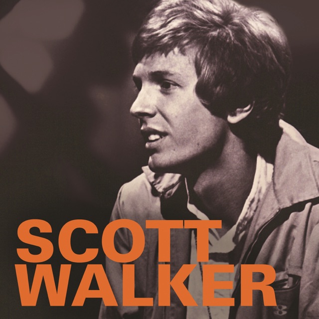 The Walker Brothers Scott Walker & the Walker Brothers - 1965-1970 Album Cover