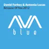 Because of You 2012 (Remixes) - EP album lyrics, reviews, download