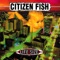 Revolution - Citizen Fish lyrics