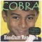 Draped In Cake (2-Hand Hanger Dunks Only Mix) - Cobra lyrics