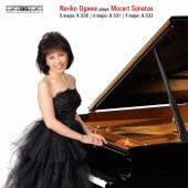 Piano Sonata No. 10 in C major, K. 330: I. Allegro moderato artwork
