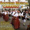 Souvenir Musical Canario