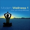 Modern Wellness, Vol. 1 - Pure Relaxing Chillout Music, 2012