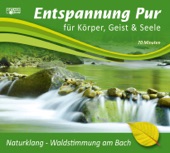 Naturklang-Waldstimmung am Bach artwork