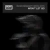 Won't Let Go (feat. Natasha Watts) - Single album lyrics, reviews, download