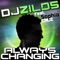 Always Changing (DJ Orion Dubstep Remix) - DJ Zilos lyrics