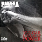 Vulgar Display of Power (Deluxe Video Version) artwork