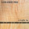 Bird On a Wire - Eleven Hundred Springs lyrics