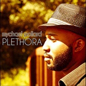 Plethora artwork