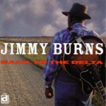 Jimmy Burns - Country Boy In the City