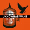 Uknowhatiwant - Single artwork