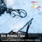 Ice Arena (Tomoyuki Sakakida Remix) - Izu lyrics