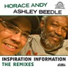 Inspiration Information - The Remixes artwork