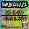 Solid Groove (Bassmann Remix) - Bakinzedayz lyrics