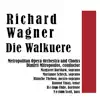 Stream & download Die Walkuere