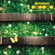 Pachelbel's Canon in D DEPAPEPE - Pachelbel's Canon in D mp3