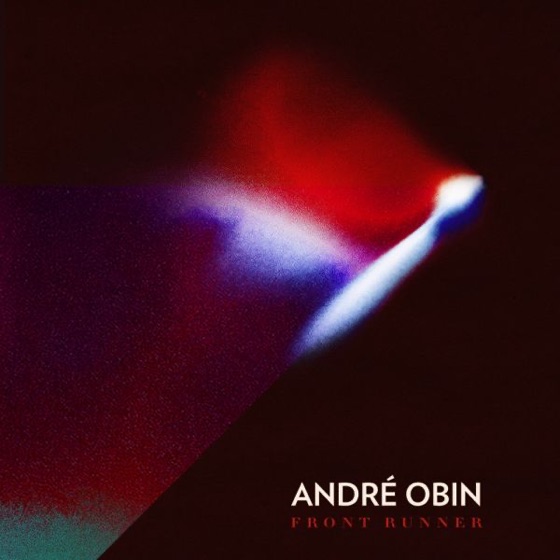 Cover artwork for The Arsonist