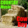 Country Music - Single, 2012