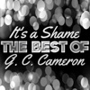 It's a Shame - The Best of G. C. Cameron