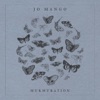 Murmuration