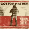 Animal Show (feat. Ian McClagan) - Single