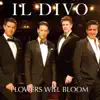 Flowers Will Bloom - Single album lyrics, reviews, download