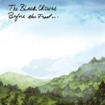 The Black Crowes - I Ain't Hiding