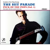 The Hit Parade - You Didn't Love Me Then