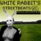 Snowpane - White Rabbit lyrics