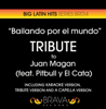 Bailando por el Mundo (Tribute Version) - Brava HitMakers