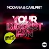 Your Biggest Fan (Handsup! Remix) [Remixes] - Single, 2013