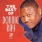 I'm Gonna Try Again (Southern Soul Shag Mix) - Donnie Ray lyrics