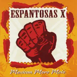 Mexican Mero Mole - Espantosas X