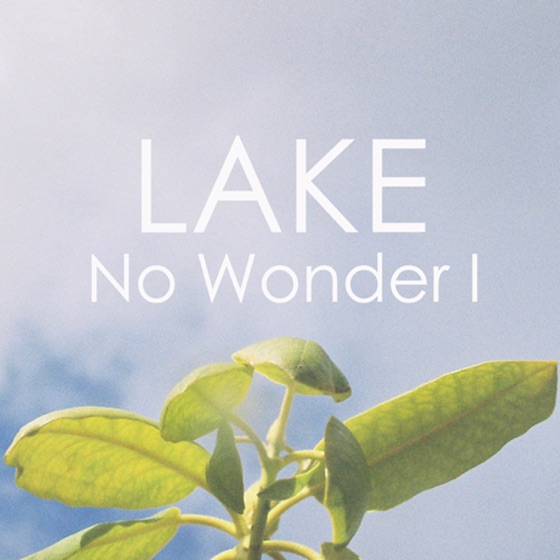 Cover artwork for No Wonder I