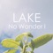 No Wonder I - LAKE lyrics