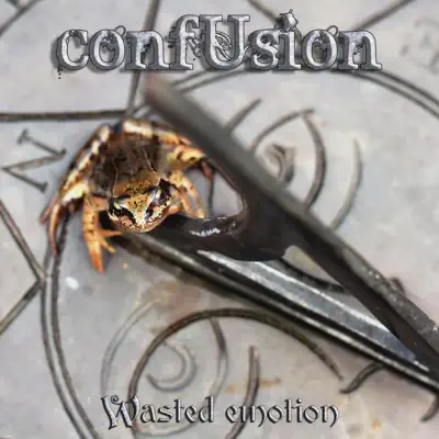 Wasted Emotion - Confusion Wasted Emotion - Confusion