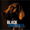 Black Churchills