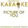 Picture of You (In the Style of Boyzone) [Karaoke Version] - Single album lyrics, reviews, download