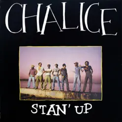 Stan' Up - Chalice Stan' Up - Chalice